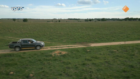 Freeks Wilde Wereld | Het geheim van de olifant